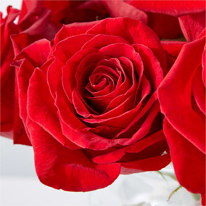 Cupid's Embrace Red Rose Bouquet – DANDELIONS ALL THINGS WEDDINGS & EVENTS, Germanton NC