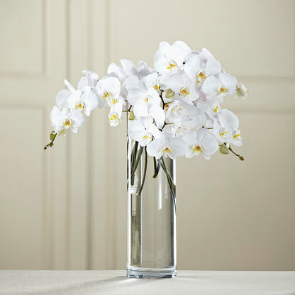 White Phalaenopsis Bouquet – DANDELIONS ALL THINGS WEDDINGS & EVENTS, Germanton NC