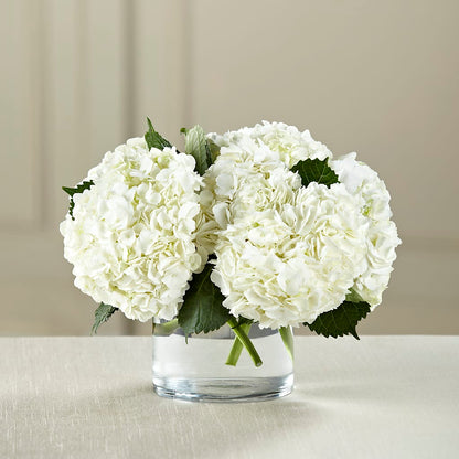 White Hydrangea Bouquet – DANDELIONS ALL THINGS WEDDINGS & EVENTS, Germanton NC