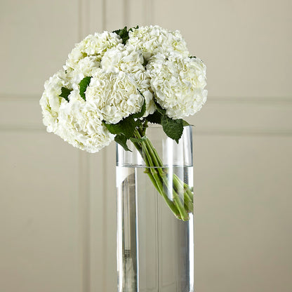 White Hydrangea Hand-Tied Bouquet – DANDELIONS ALL THINGS WEDDINGS & EVENTS, Germanton NC